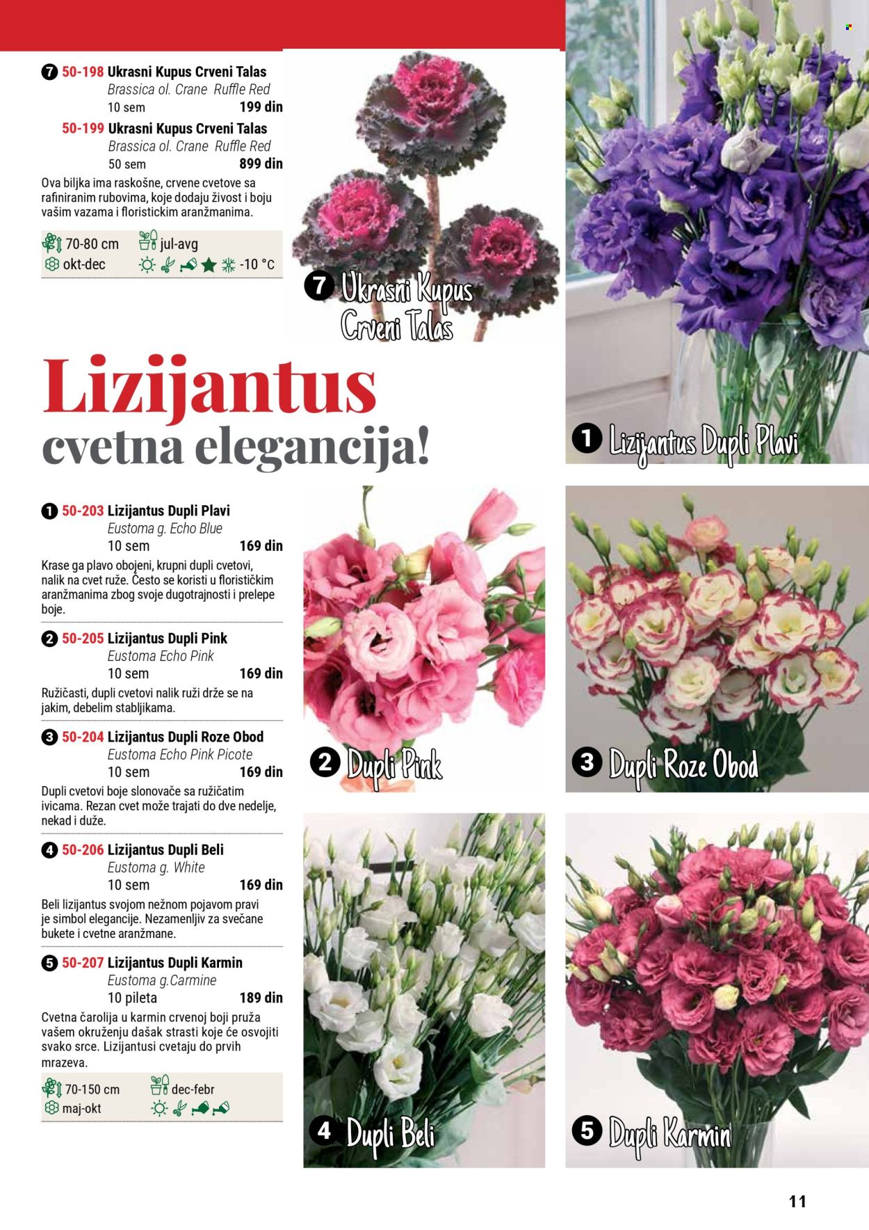 Flora Ekspres katalog .