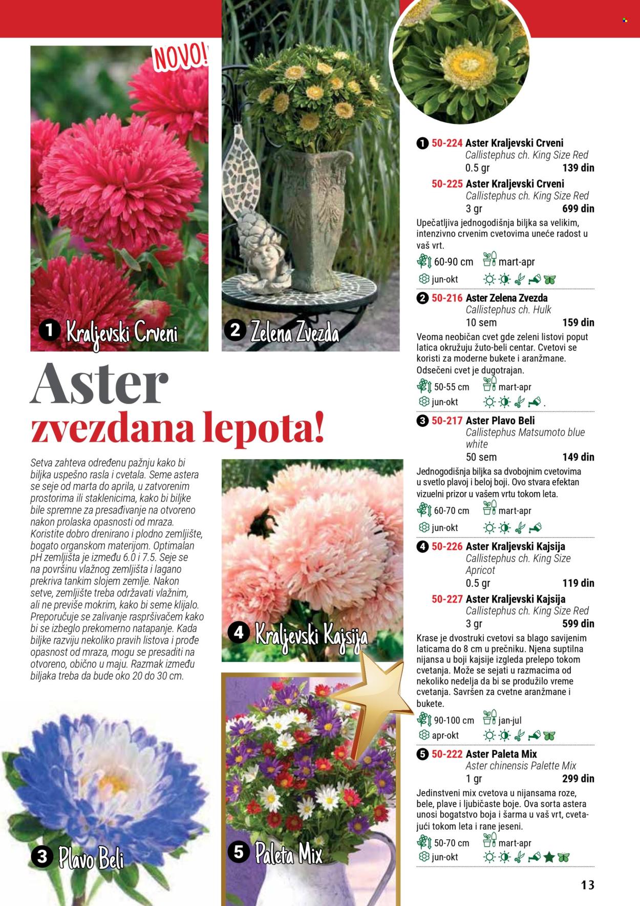 Flora Ekspres katalog .