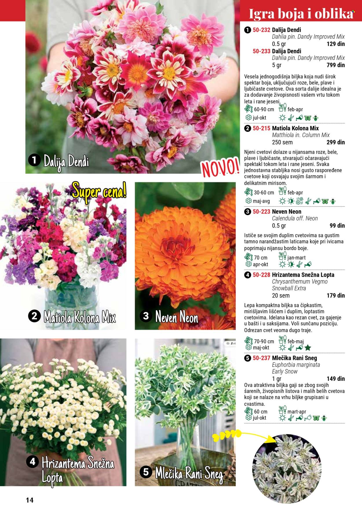 Flora Ekspres katalog .