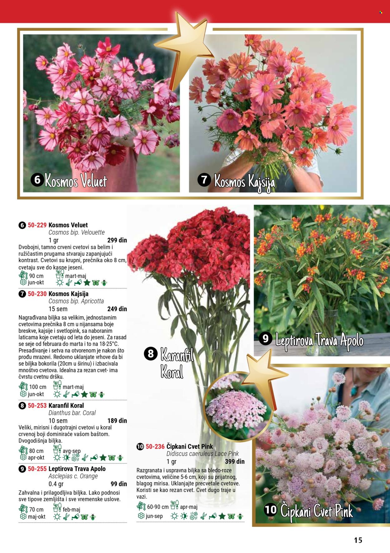 Flora Ekspres katalog .