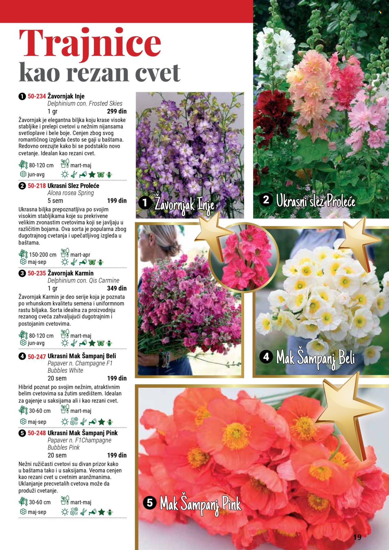 Flora Ekspres katalog .