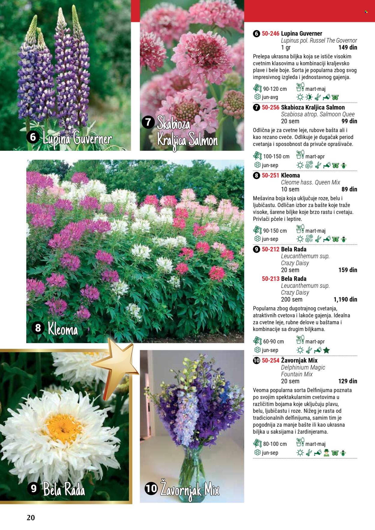 Flora Ekspres katalog .