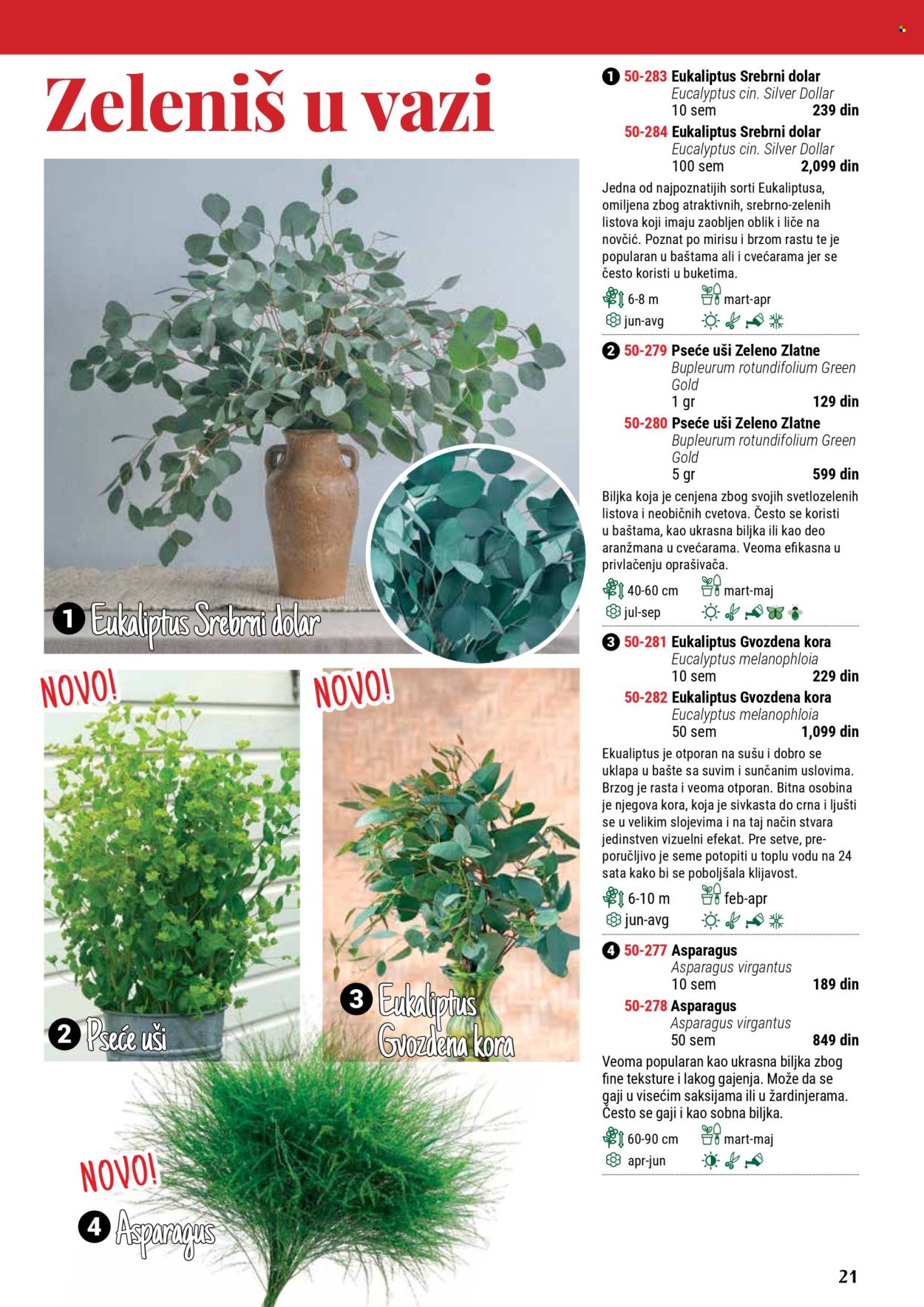 Flora Ekspres katalog .