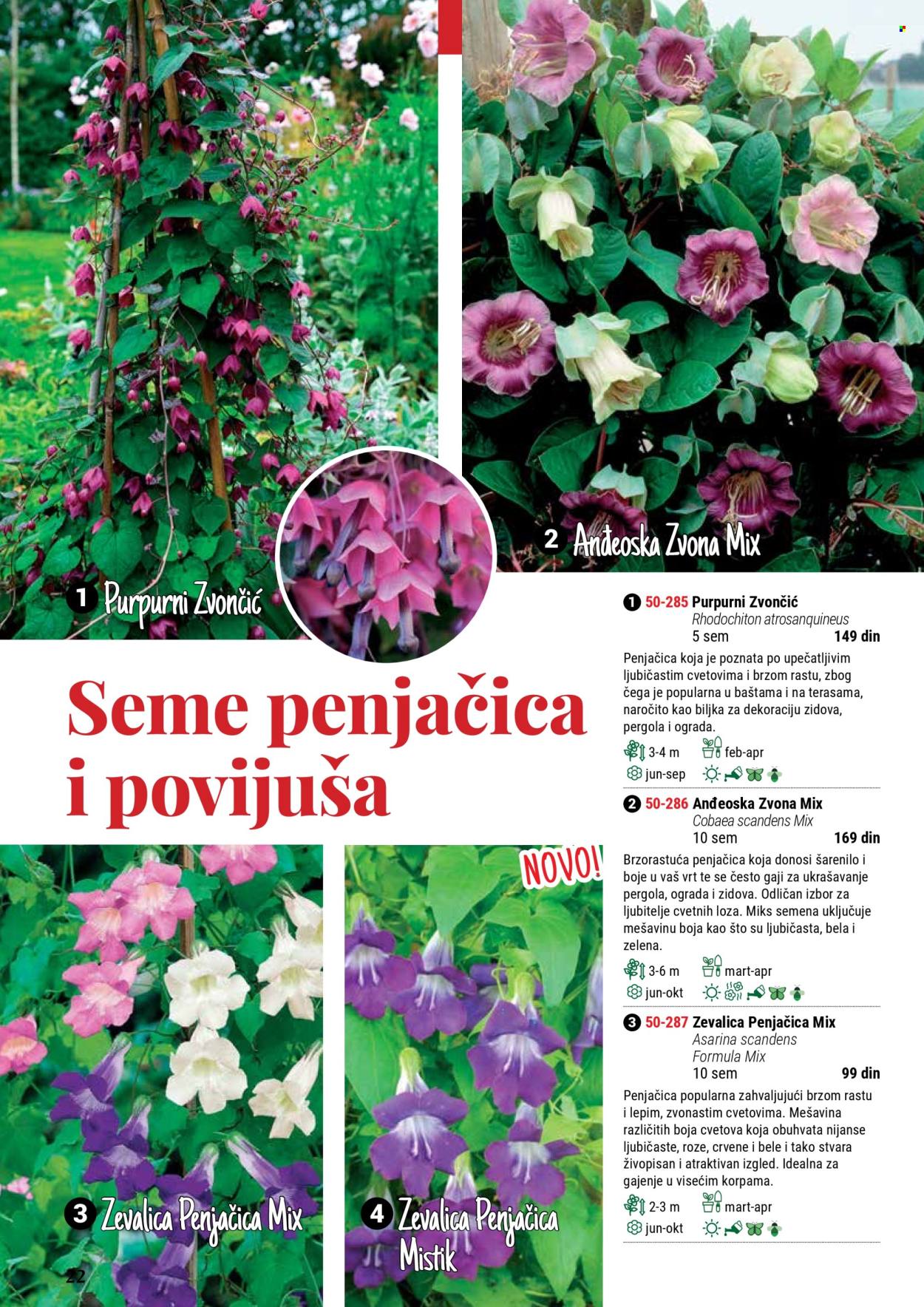 Flora Ekspres katalog .