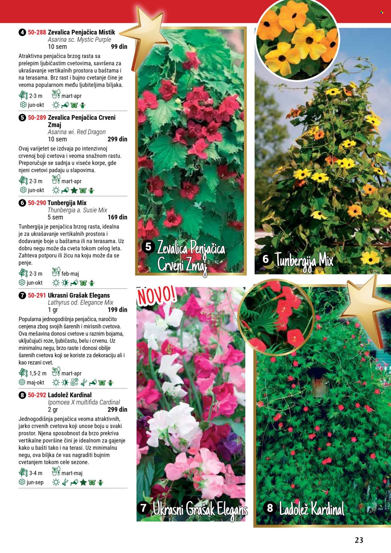 Flora Ekspres katalog .