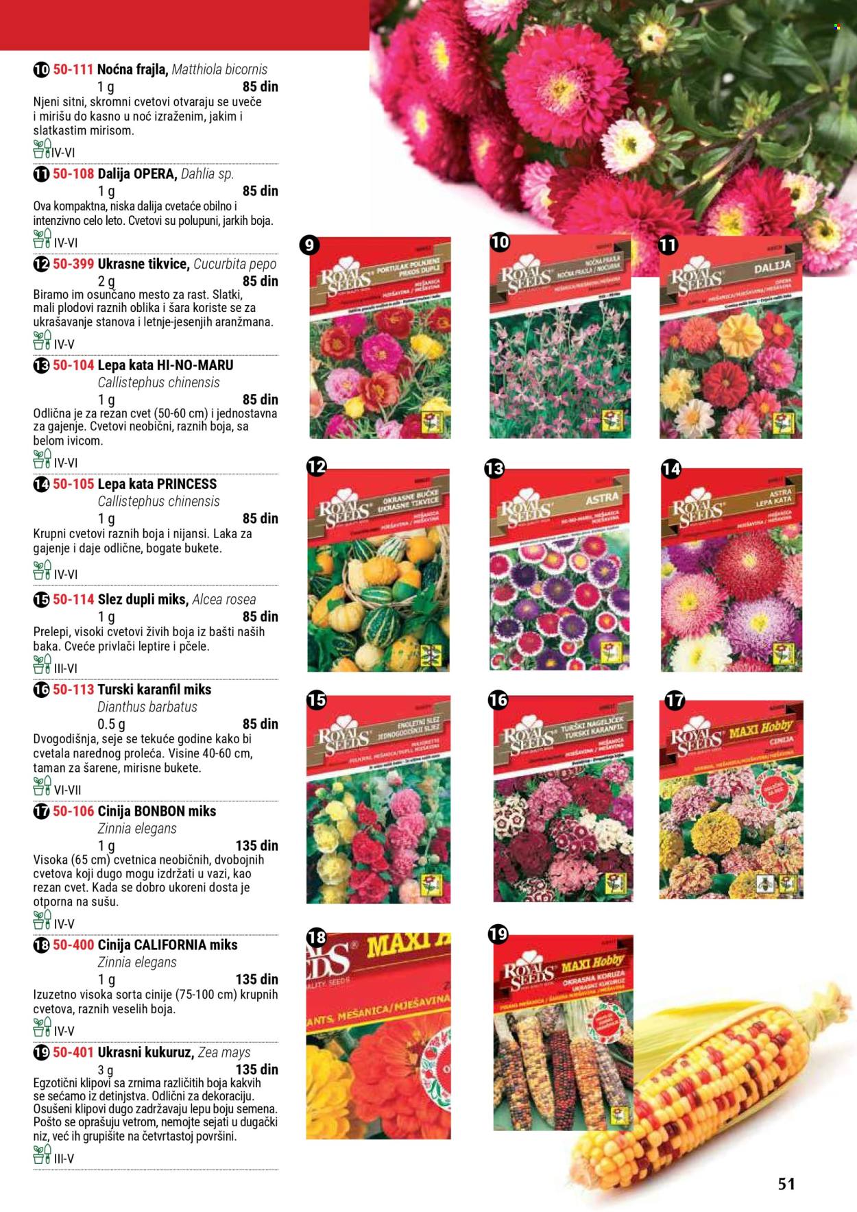 Flora Ekspres katalog .