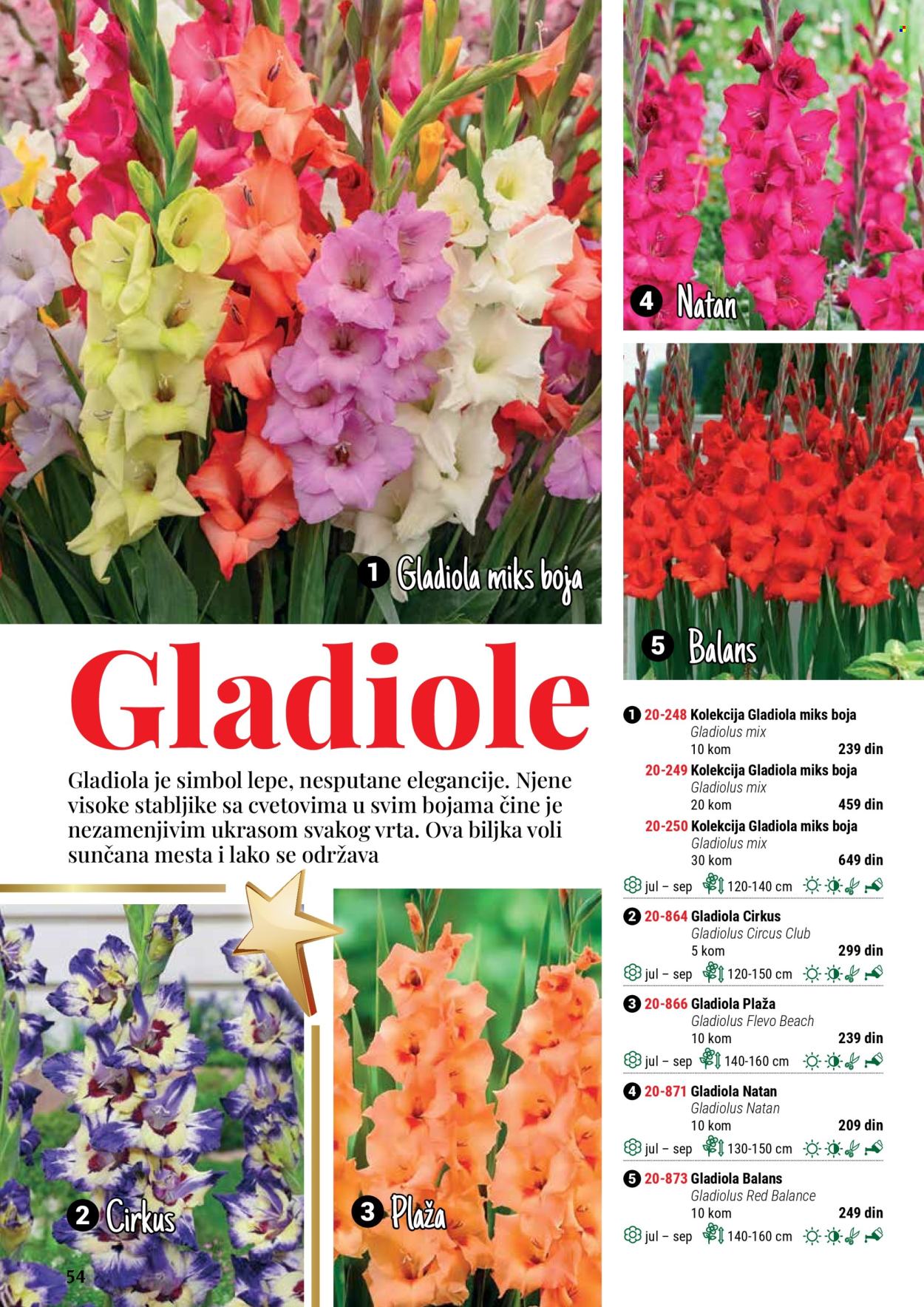 Flora Ekspres katalog .