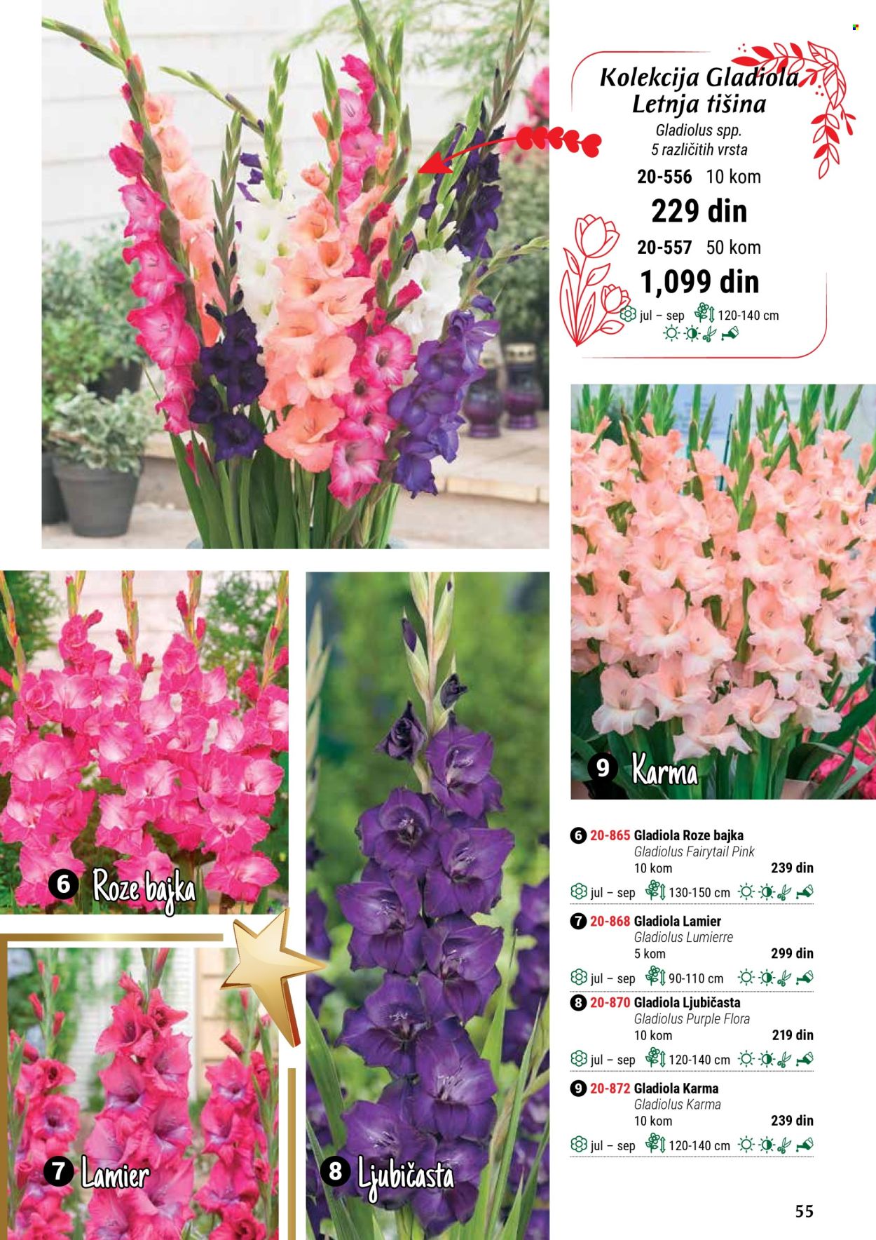 Flora Ekspres katalog .