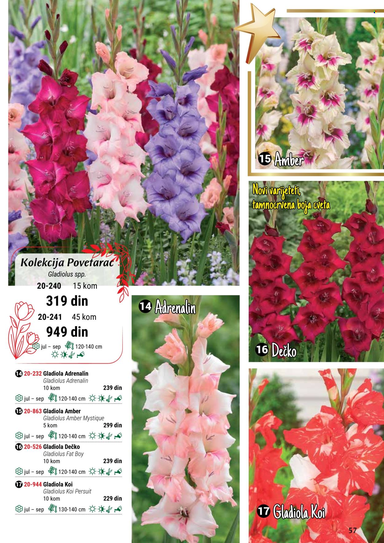 Flora Ekspres katalog .