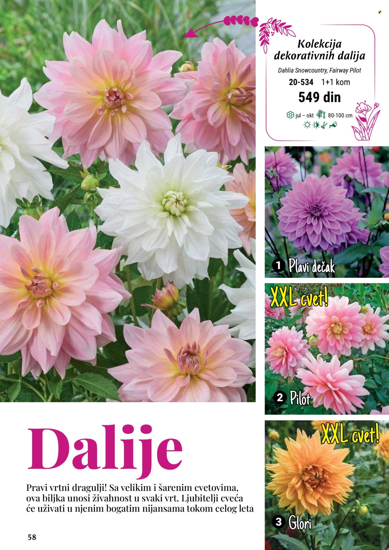 Flora Ekspres katalog .