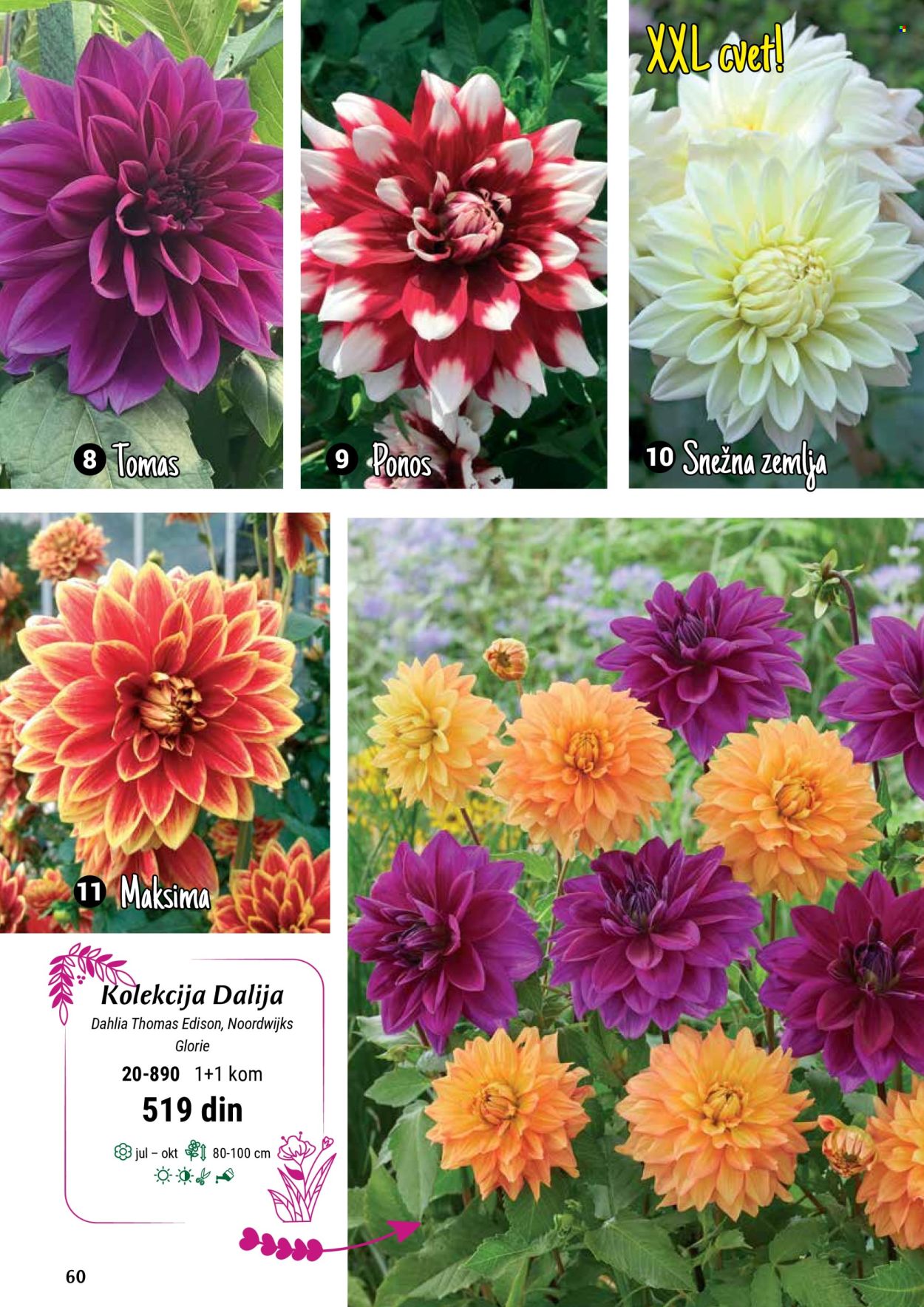 Flora Ekspres katalog .