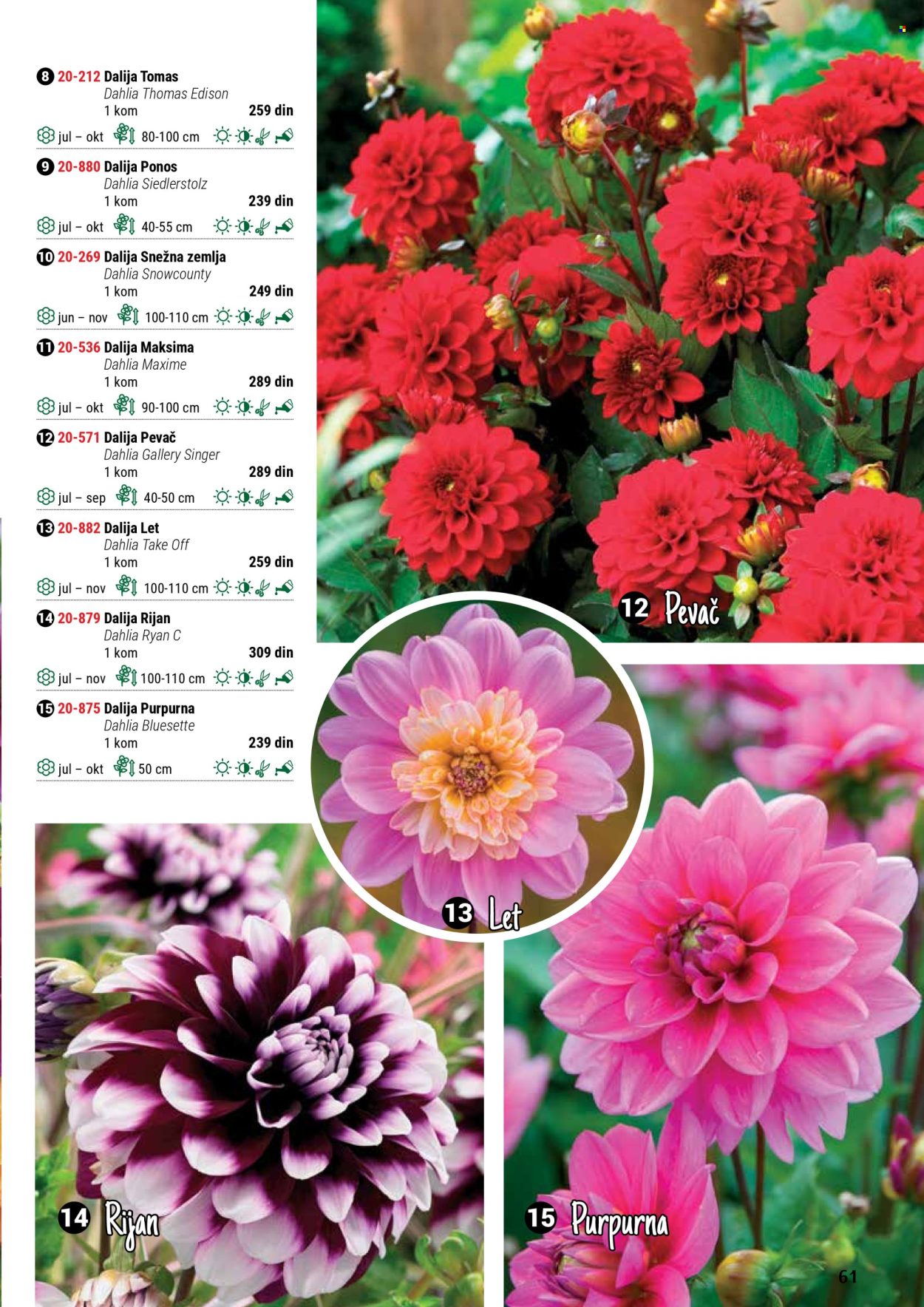 Flora Ekspres katalog .