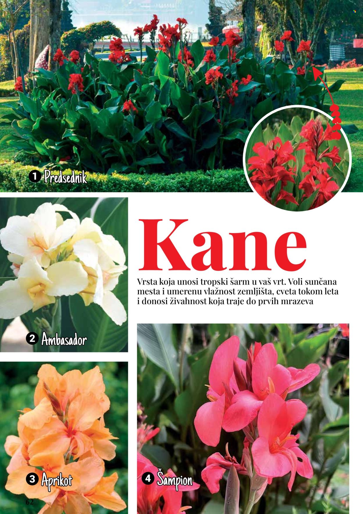 Flora Ekspres katalog .
