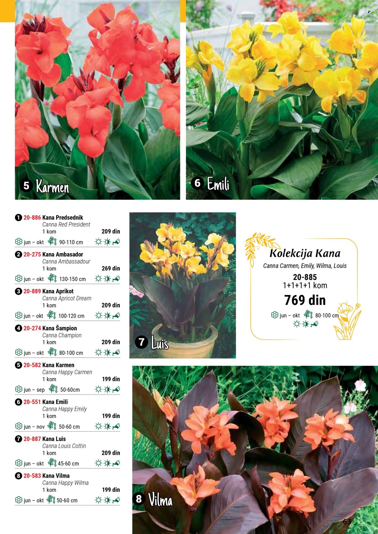 Flora Ekspres katalog .