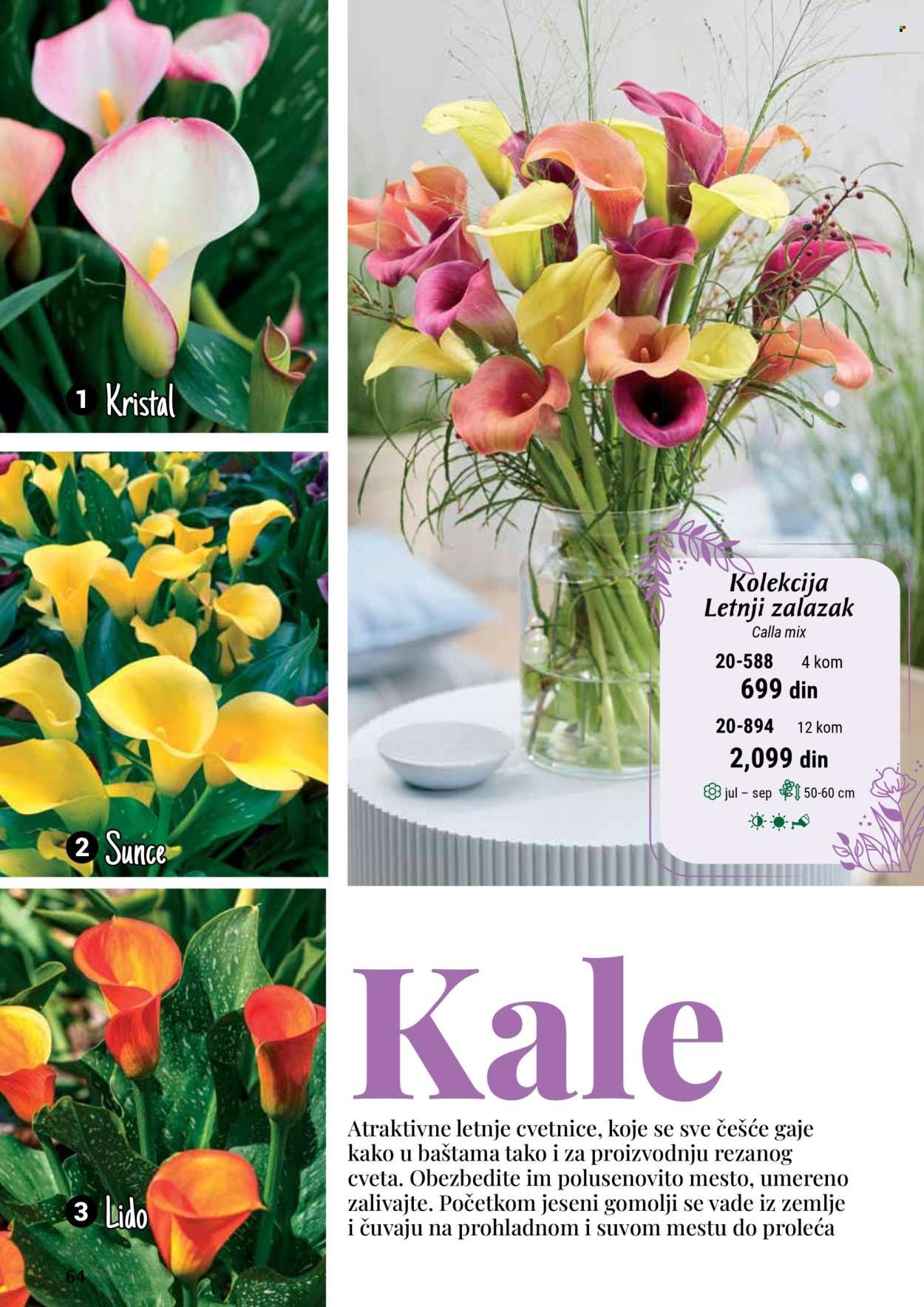 Flora Ekspres katalog .