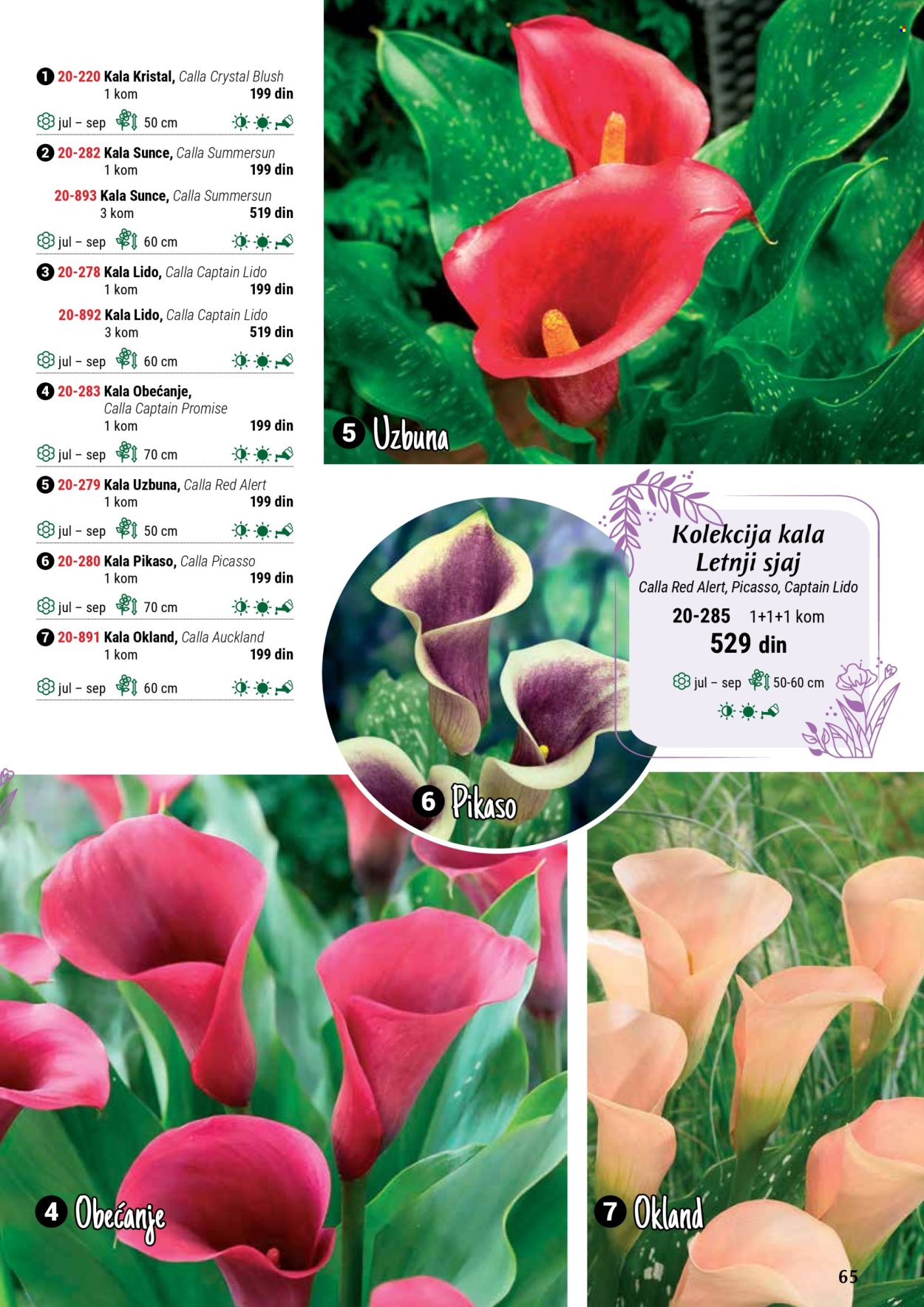 Flora Ekspres katalog .