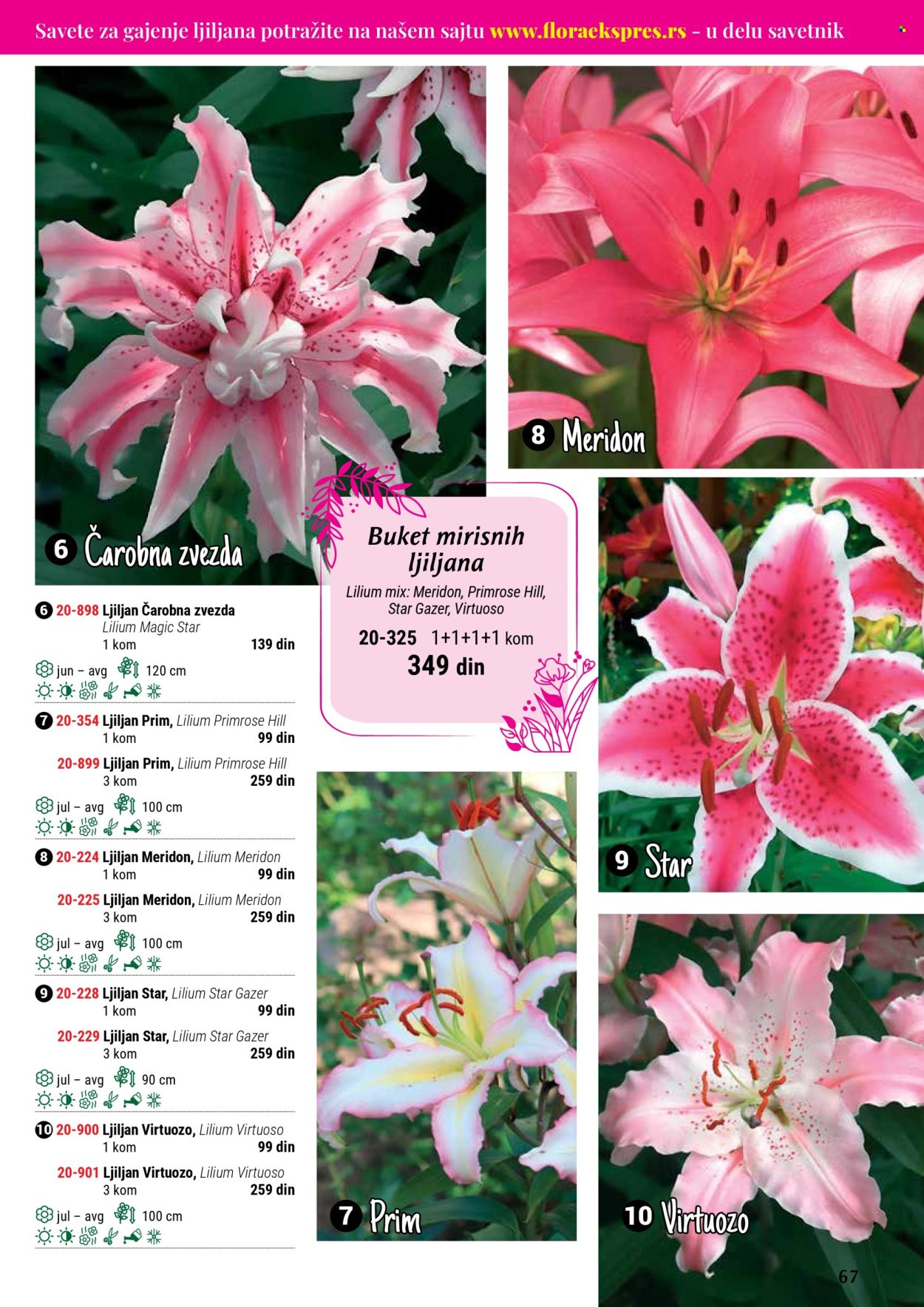 Flora Ekspres katalog .