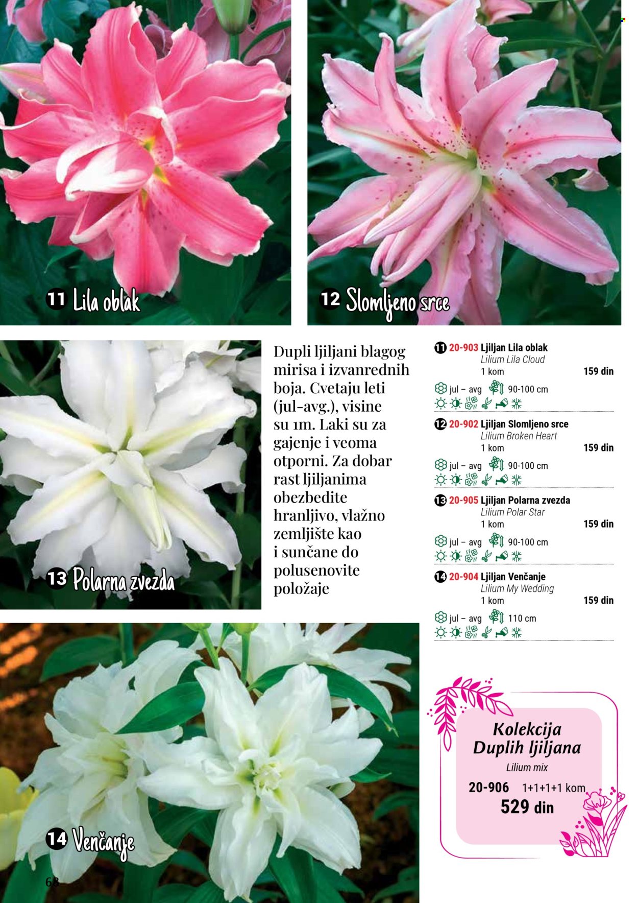Flora Ekspres katalog .