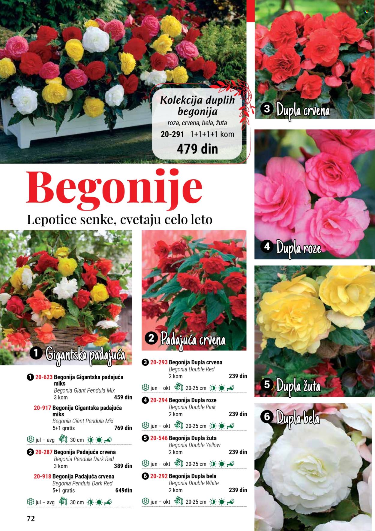 Flora Ekspres katalog .