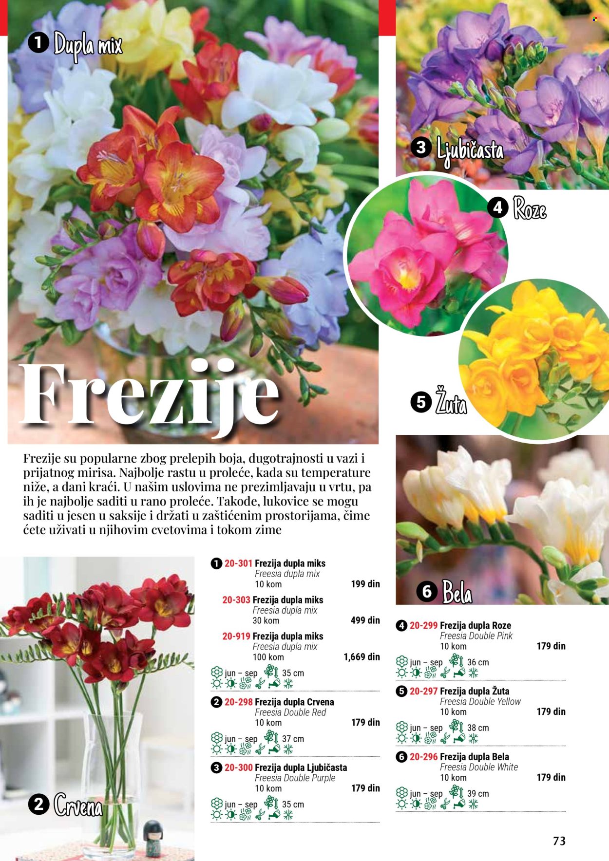 Flora Ekspres katalog .
