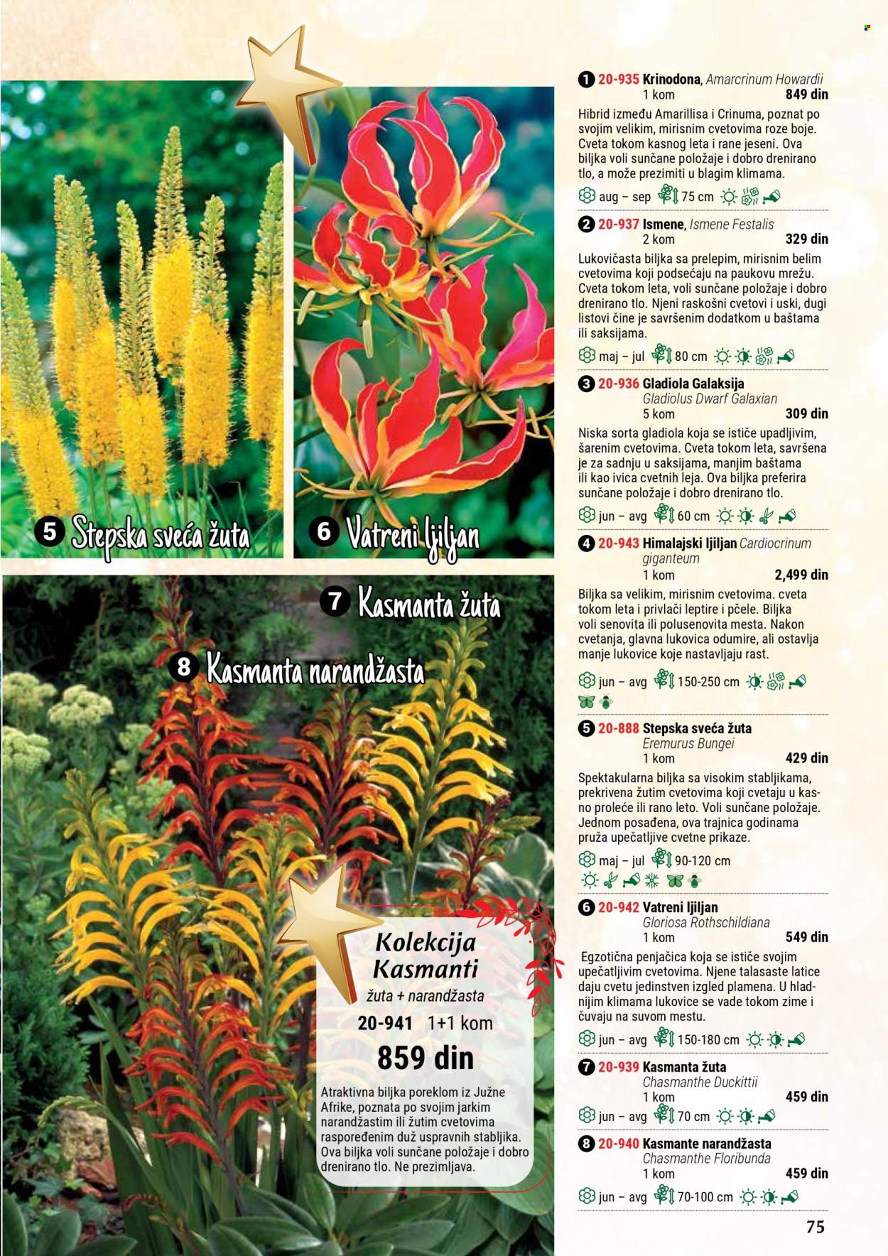 Flora Ekspres katalog .
