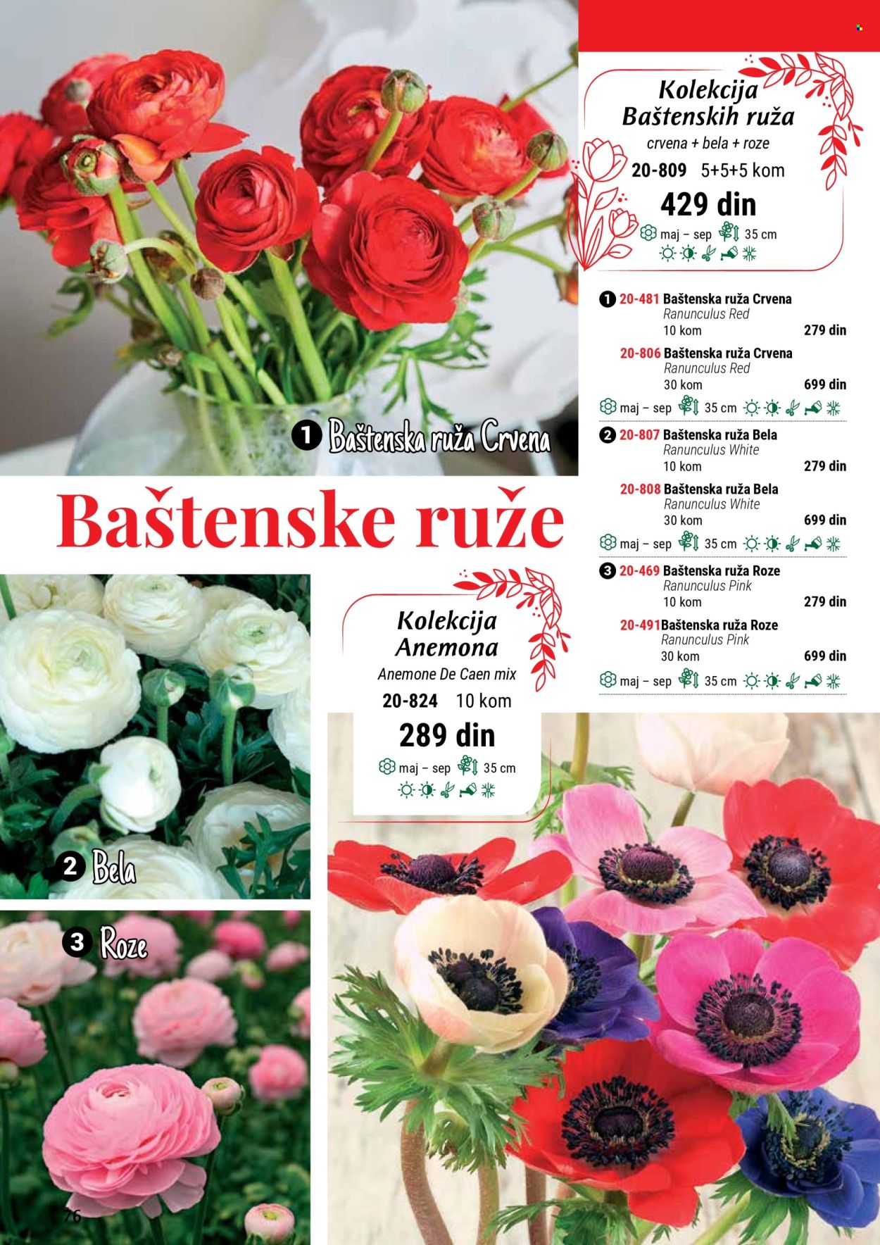 Flora Ekspres katalog .