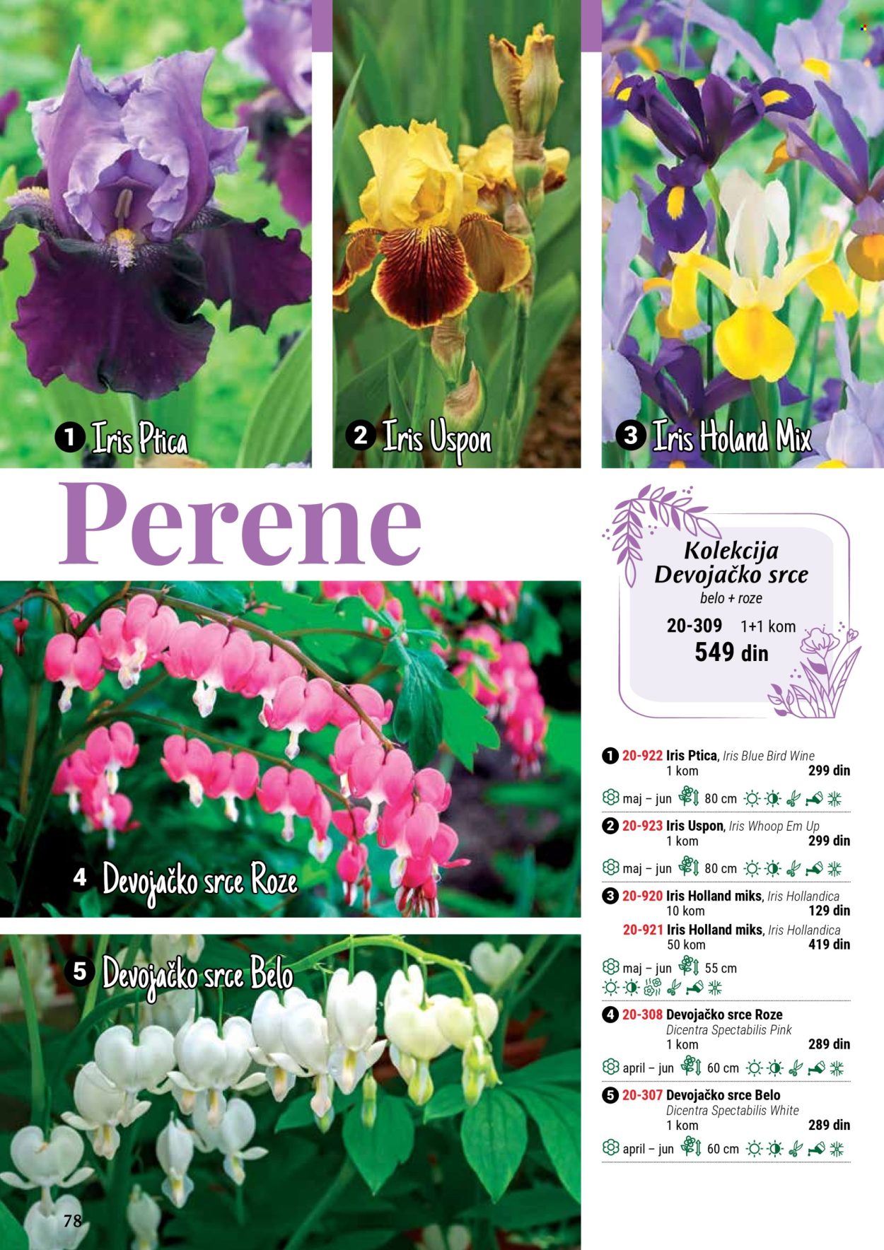 Flora Ekspres katalog .
