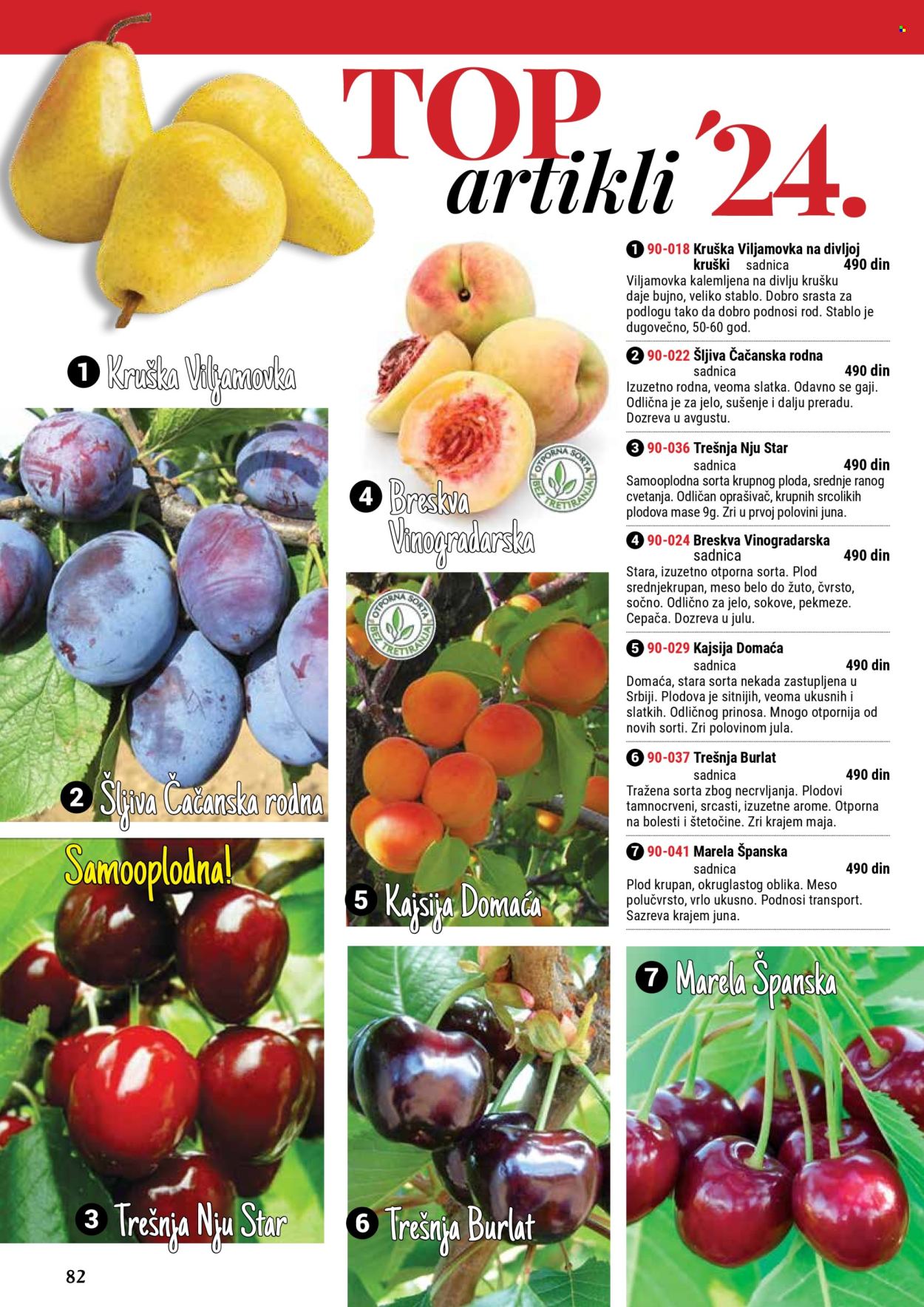 Flora Ekspres katalog .