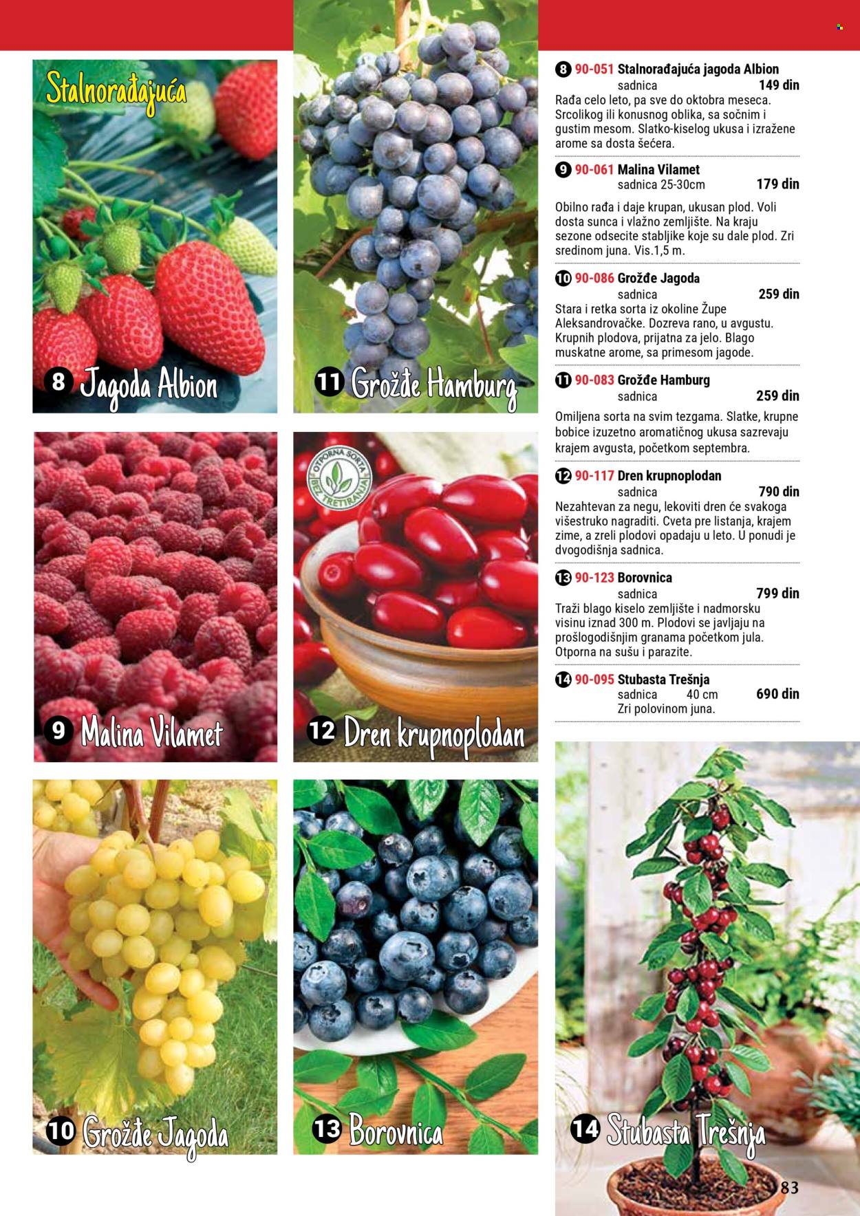Flora Ekspres katalog .