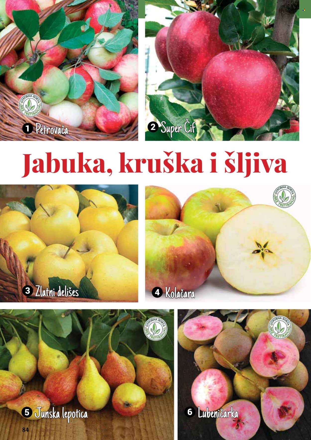 Flora Ekspres katalog .