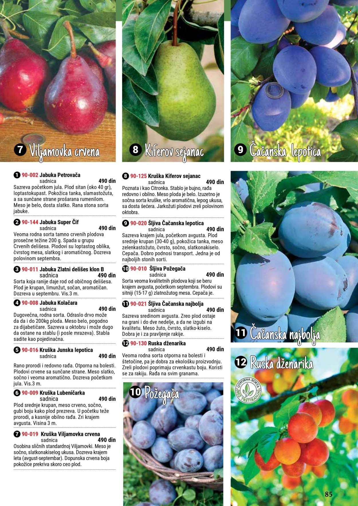 Flora Ekspres katalog .