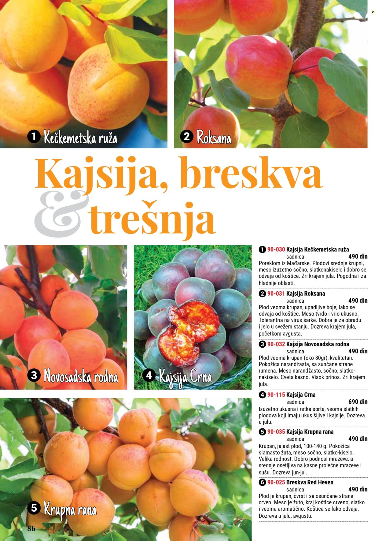 Flora Ekspres katalog .