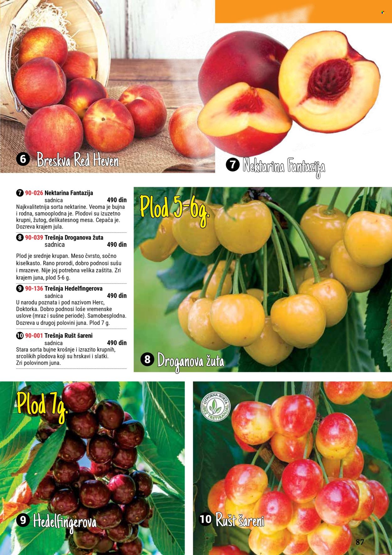 Flora Ekspres katalog .