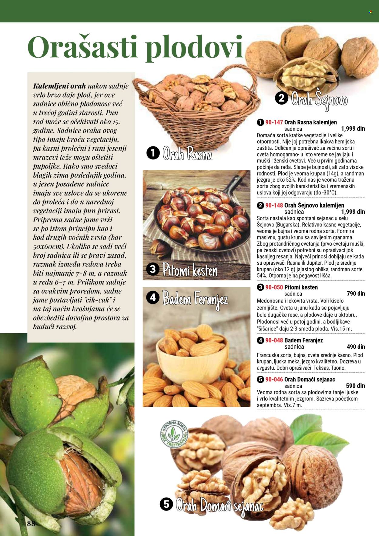 Flora Ekspres katalog .