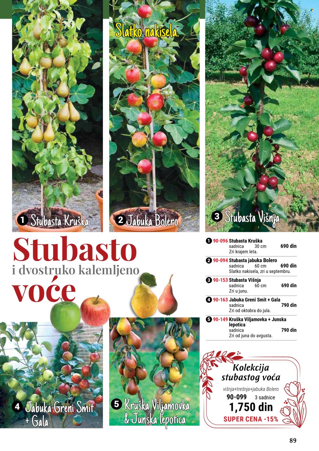 Flora Ekspres katalog .