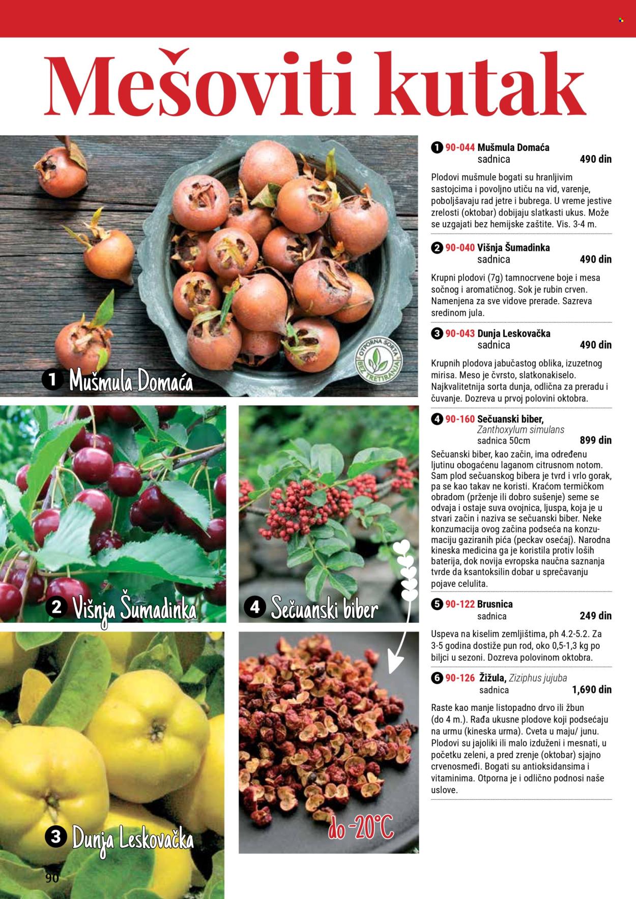 Flora Ekspres katalog .