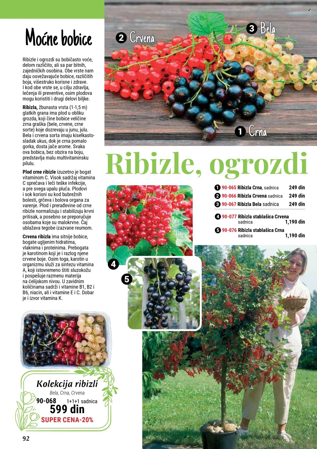 Flora Ekspres katalog .