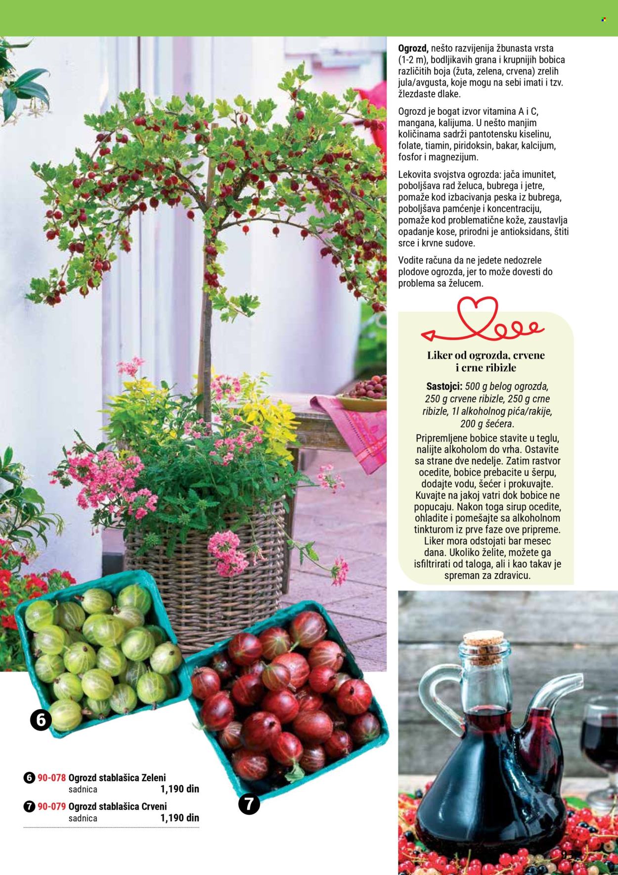 Flora Ekspres katalog .