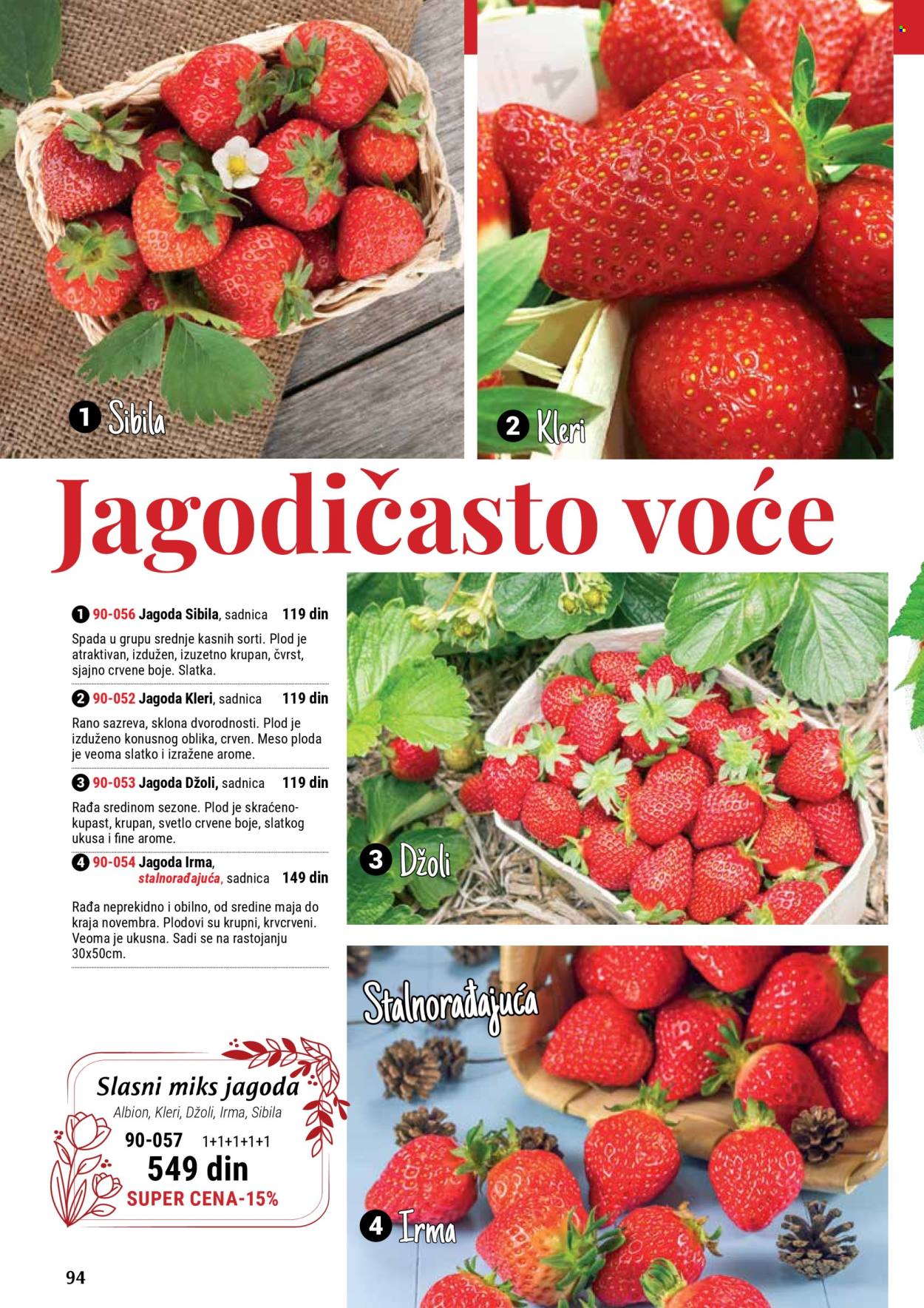 Flora Ekspres katalog .