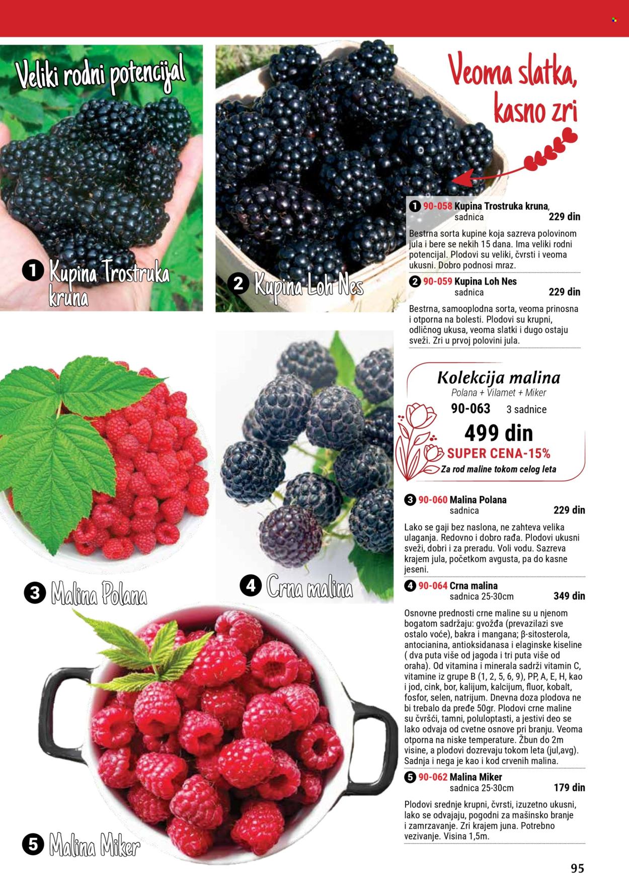 Flora Ekspres katalog .