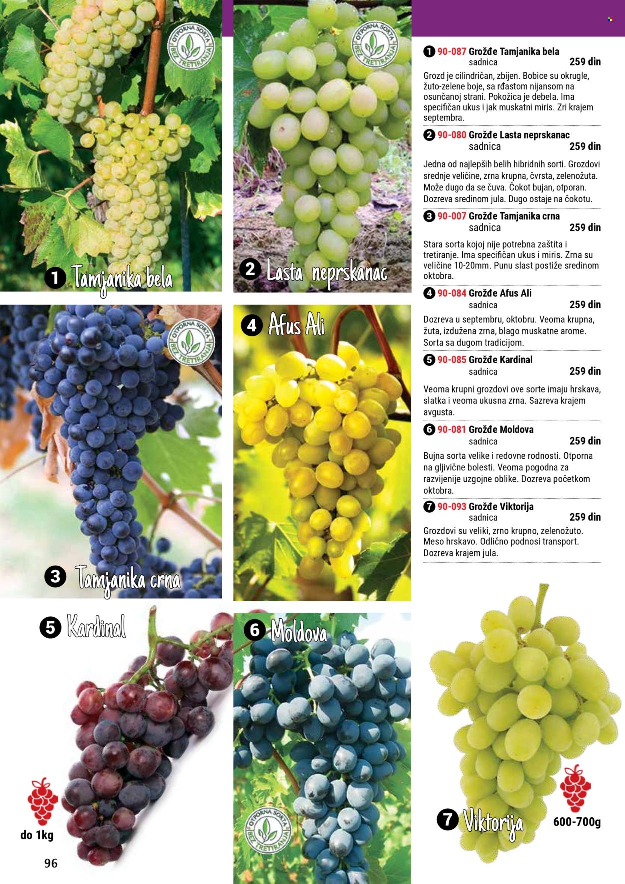 Flora Ekspres katalog .