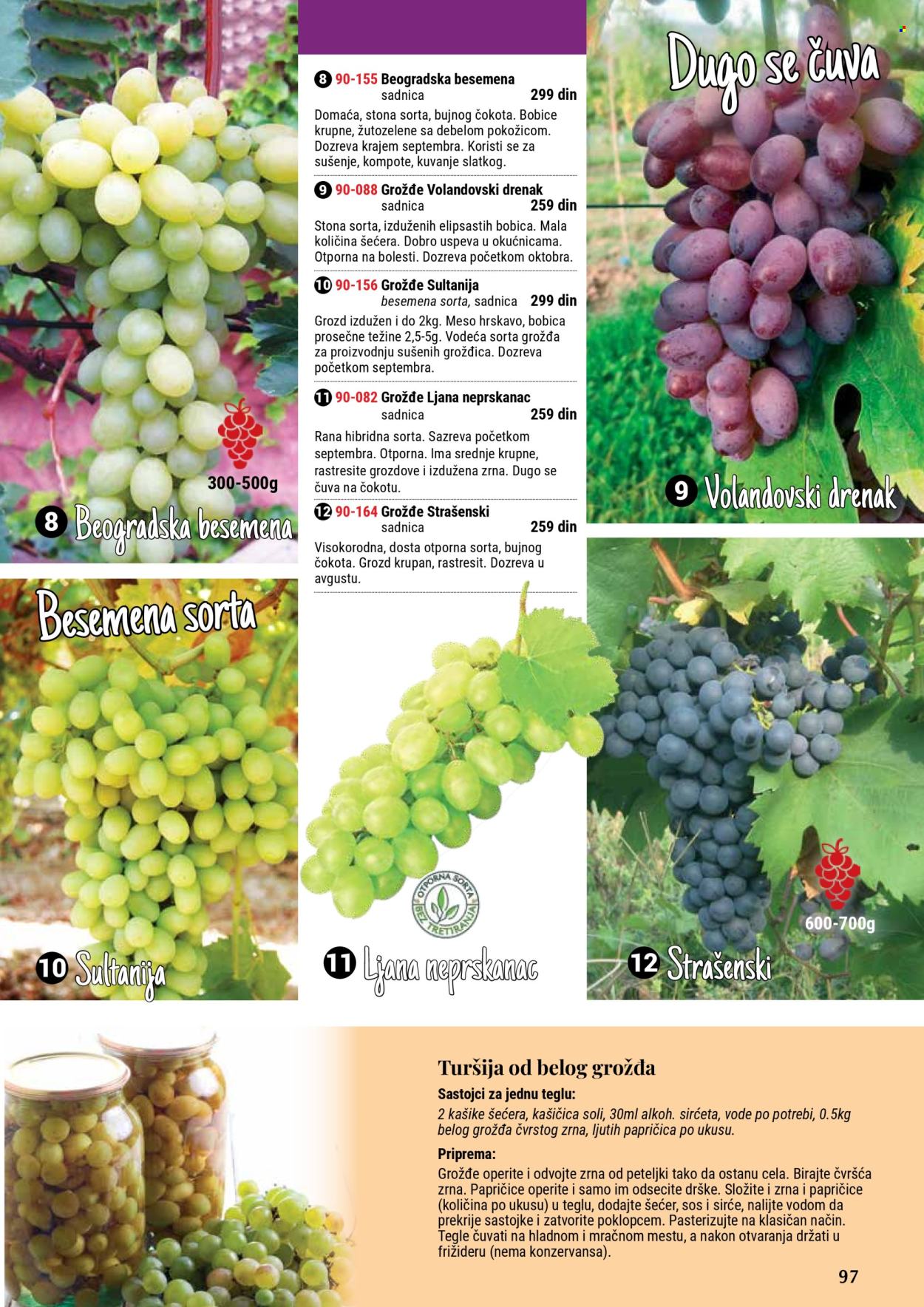 Flora Ekspres katalog .