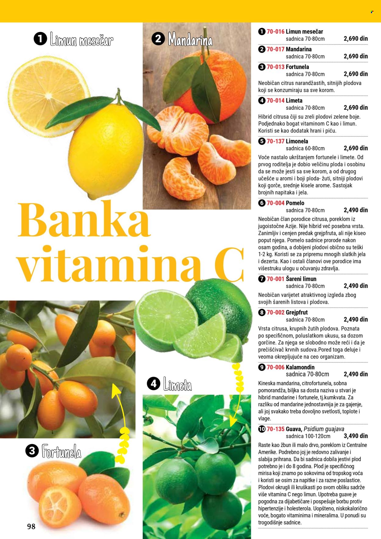 Flora Ekspres katalog .