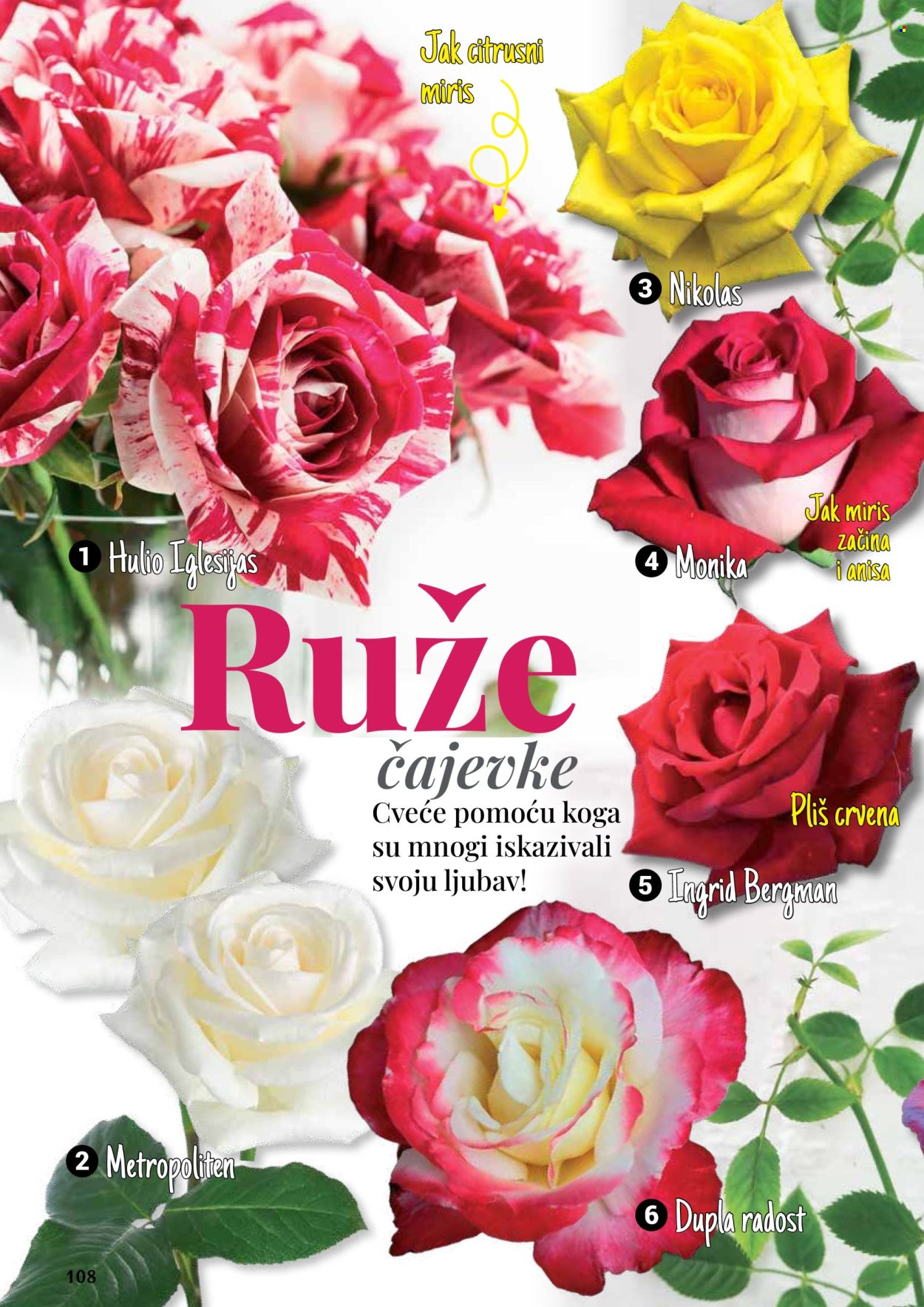 Flora Ekspres katalog .