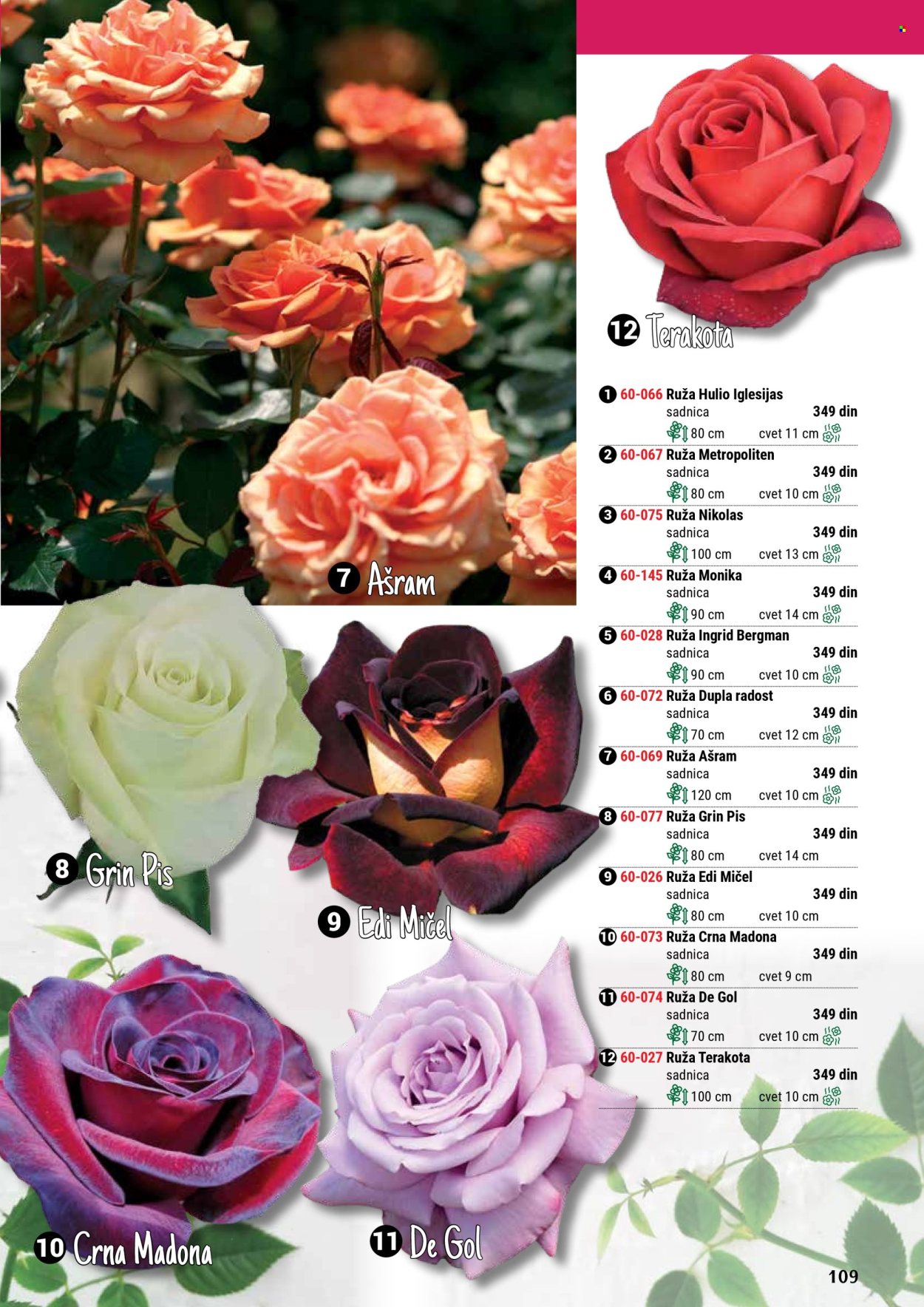 Flora Ekspres katalog .