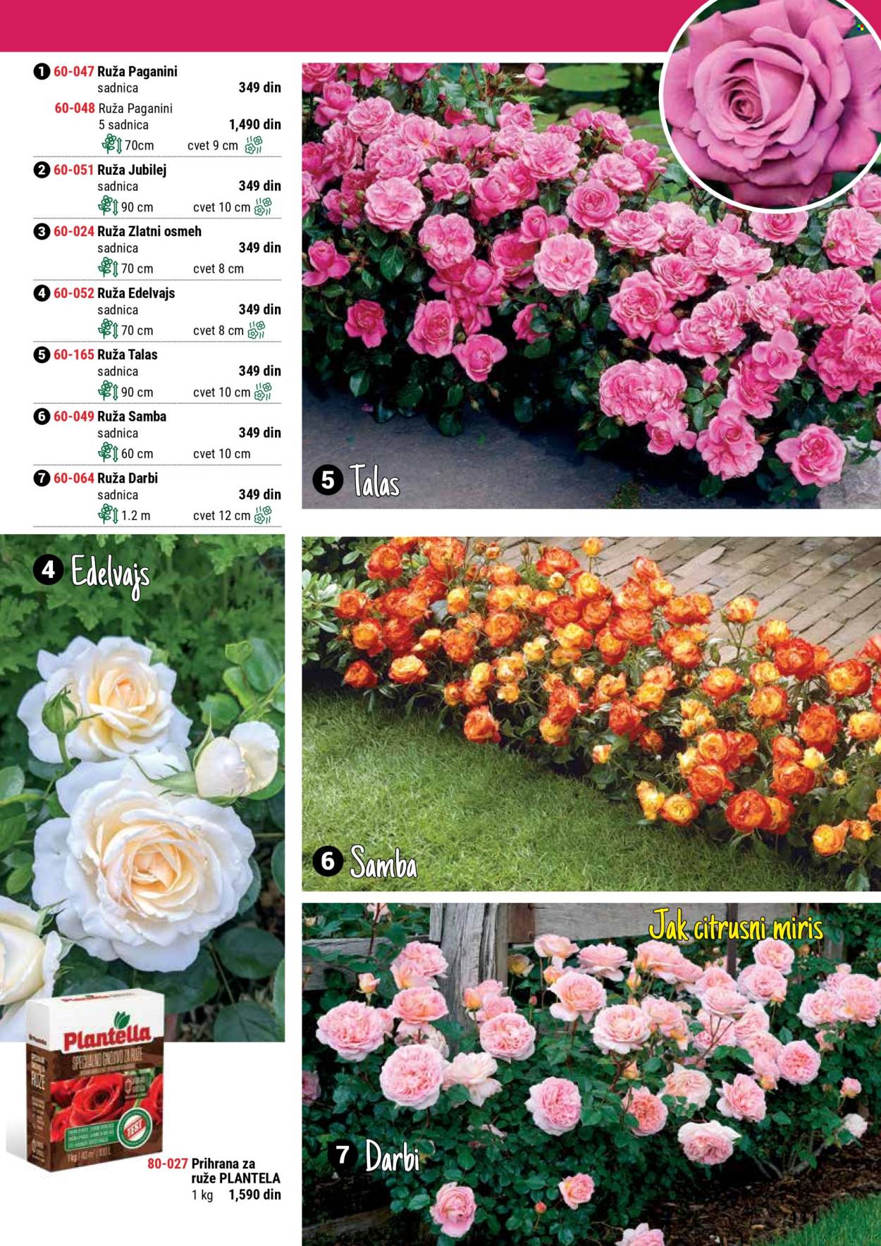 Flora Ekspres katalog .