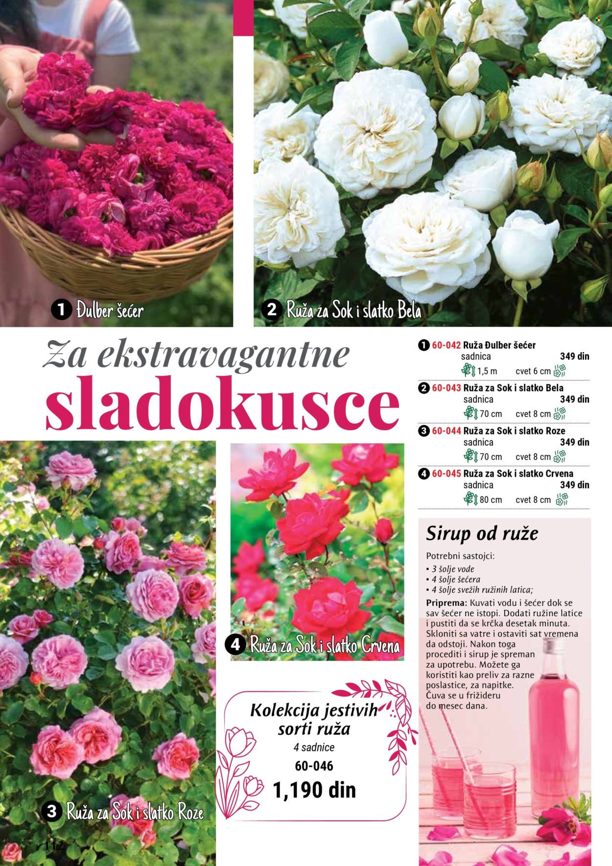 Flora Ekspres katalog .