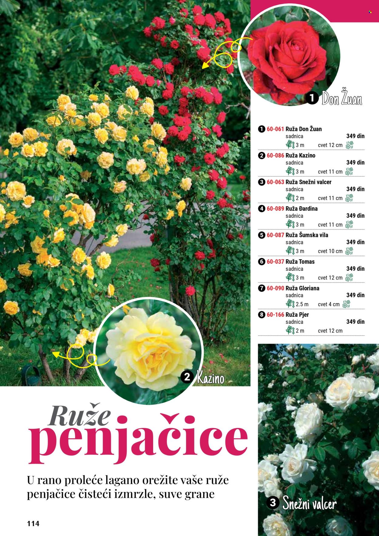 Flora Ekspres katalog .