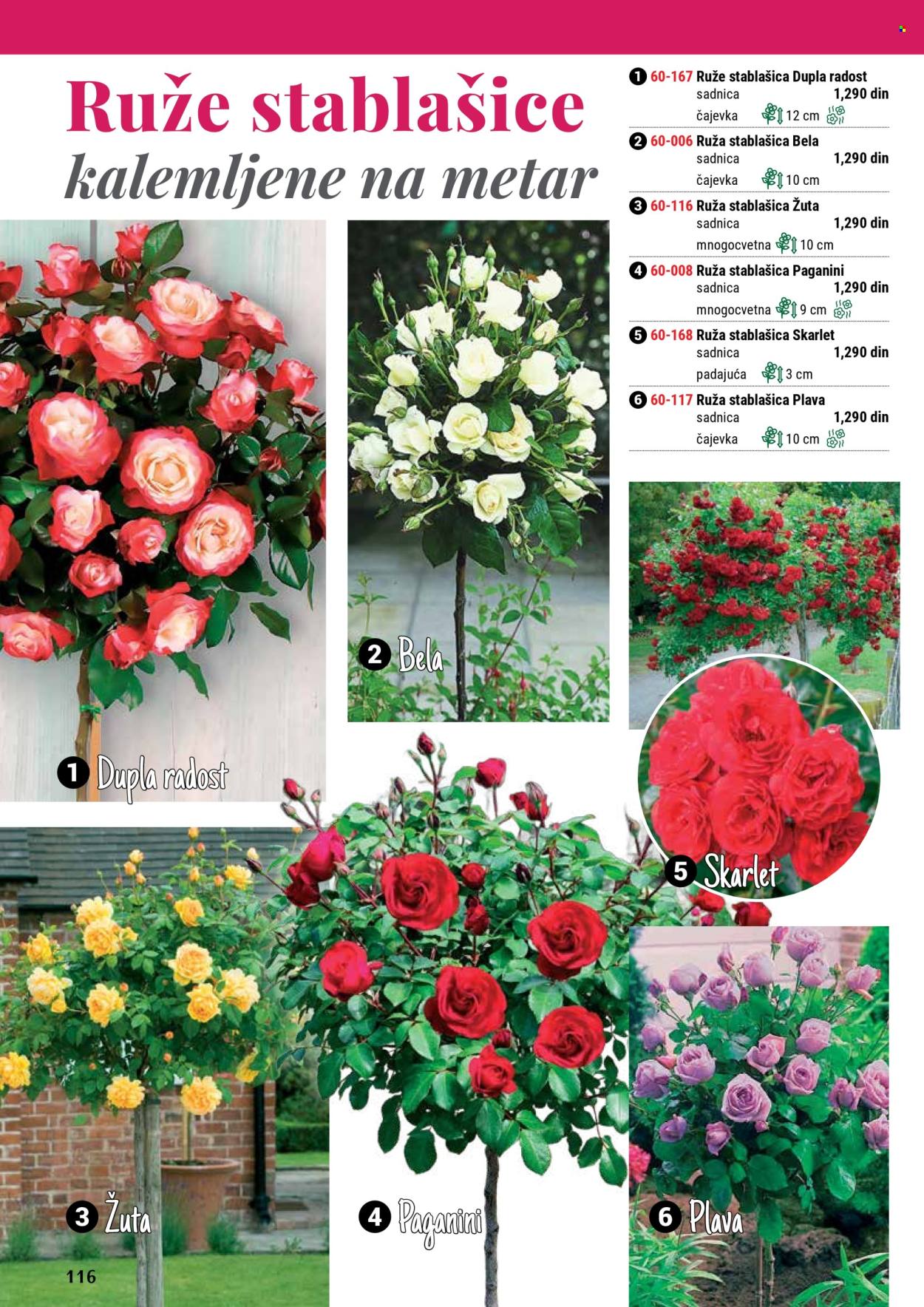 Flora Ekspres katalog .