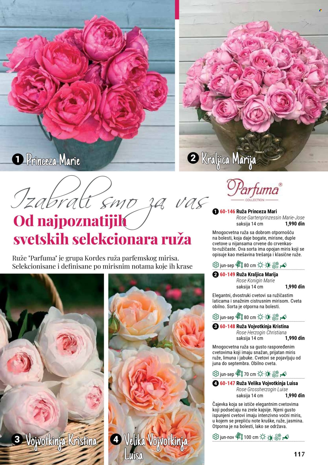 Flora Ekspres katalog .